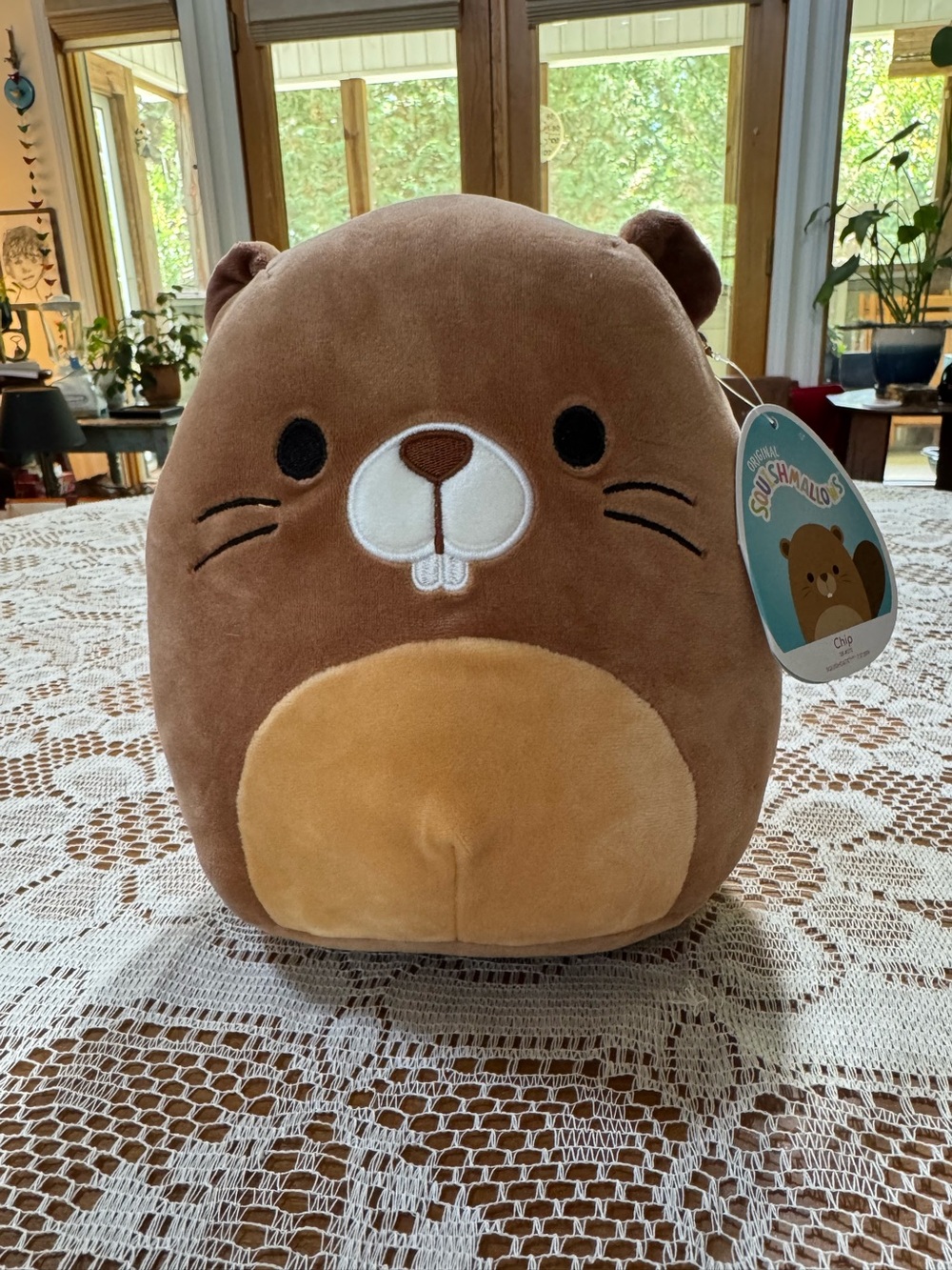 NWT Authentic Squishmallows Chip the Beaver Stuffed Animal Plush Brown Rare New